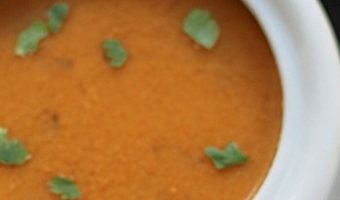 Close up of Idli Sambar.