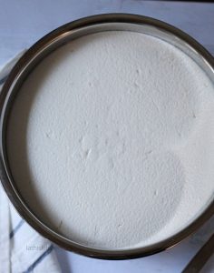 Instant pot fermented Idli Dosa batter.