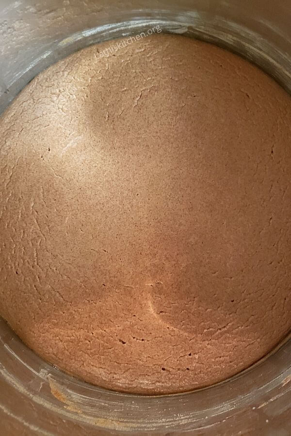 Fermented Ragi dosa batter in Instant pot.