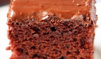 A slice of wacky cake.